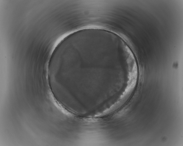 X0000114620862200911171056