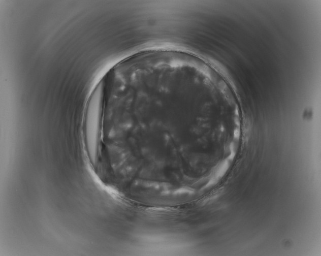 X0000114620863200911171056