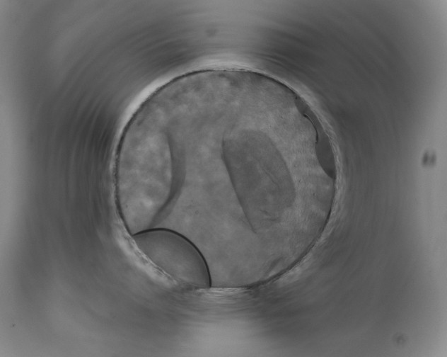 X0000114620864200911171056