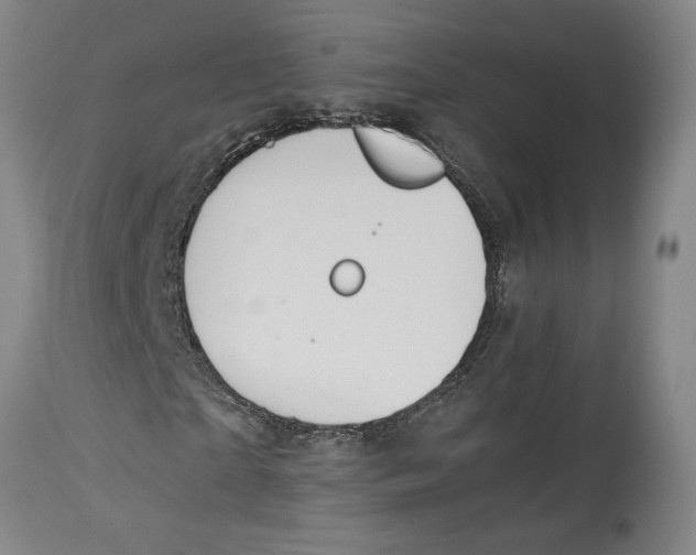 X0000114620865200911171055