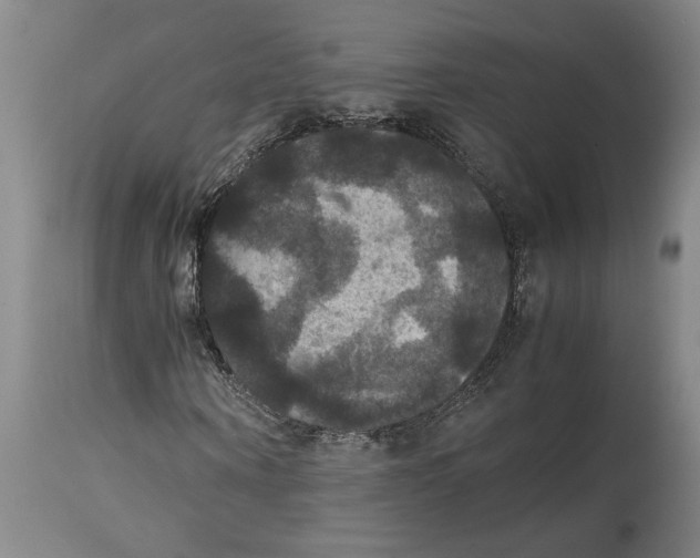 X0000114620866200911171055