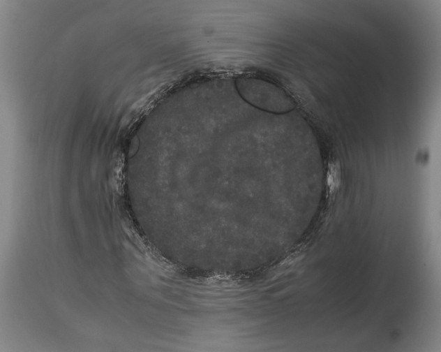 X0000114620867200911171055