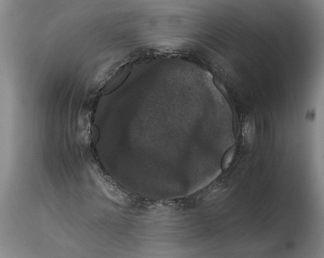 X0000114620868200911171055