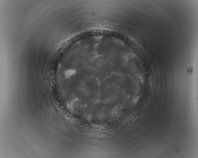 X0000114620870200911171055