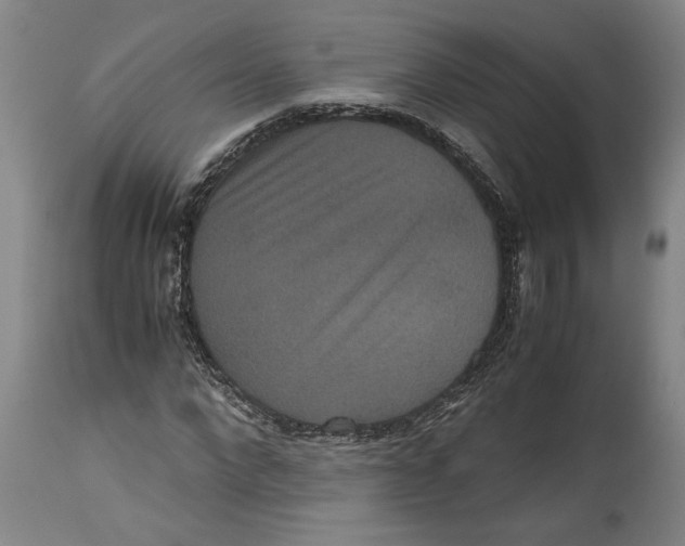 X0000114620872200911171055