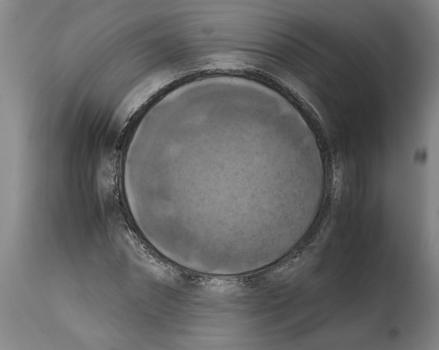 X0000114620874200911171055