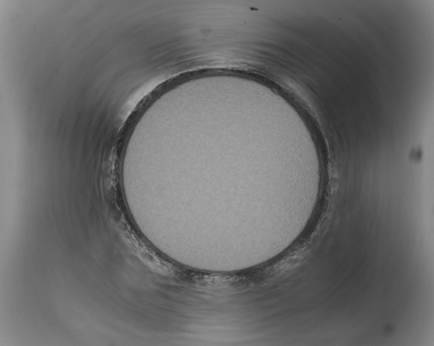 X0000114620875200911171055