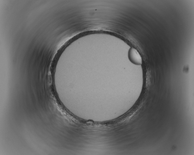 X0000114620876200911171055