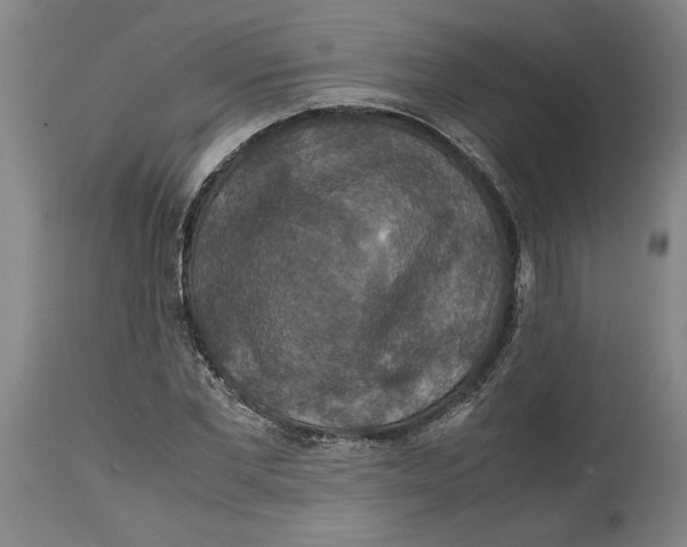 X0000114620877200911171055