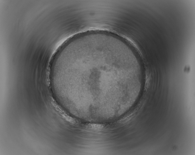 X0000114620878200911171055