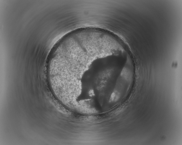 X0000114620879200911171055