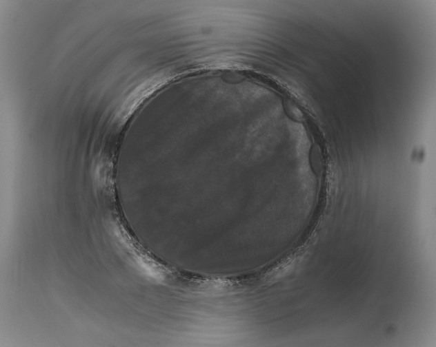 X0000114620881200911171055