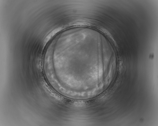 X0000114620882200911171055