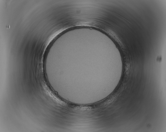 X0000114620884200911171055