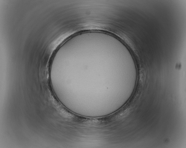 X0000114620885200911171055