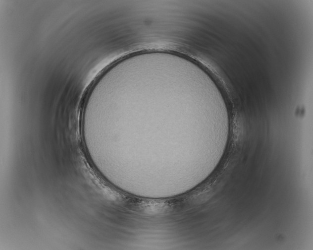 X0000114620886200911171055