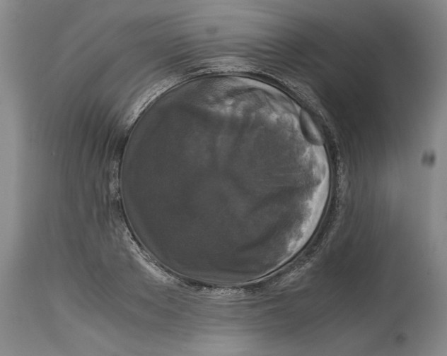 X0000114620889200911171055