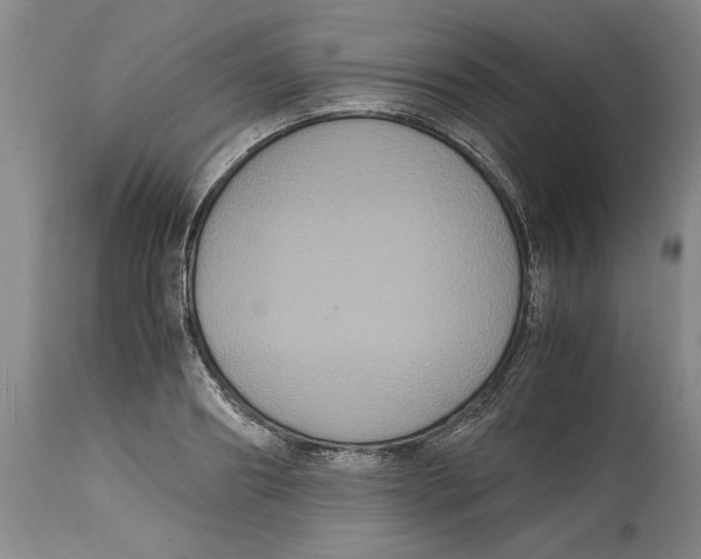 X0000114620890200911171055