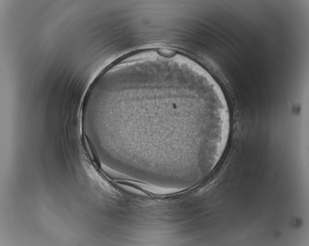 X0000114620892200911171055