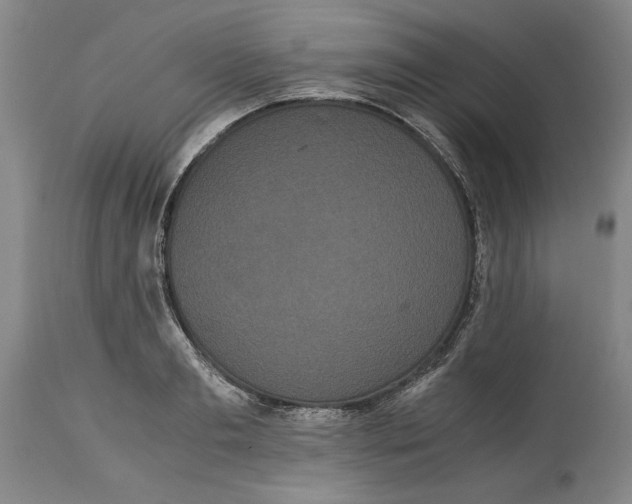 X0000114620893200911171055