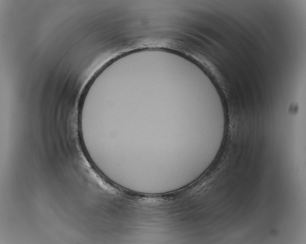 X0000114620894200911171055