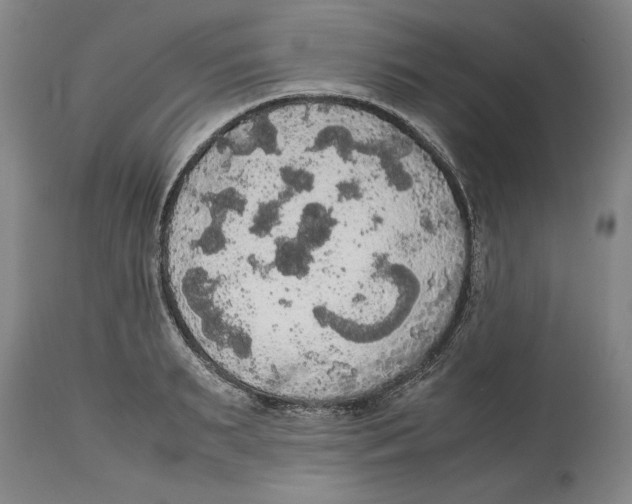 X0000114620895200911171055