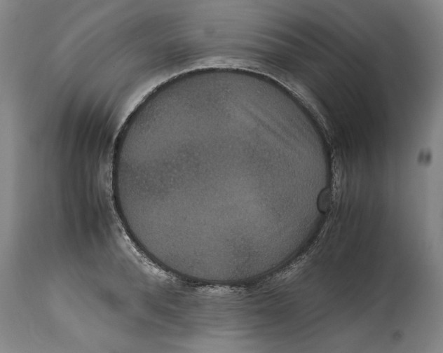 X0000114620896200911171055