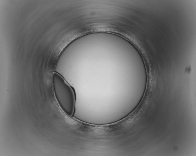 X0000114620897200911171055