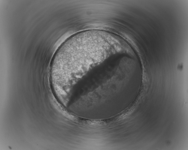 X0000114620899200911171055