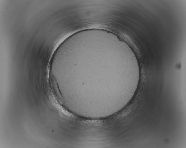 X0000114620900200911171055