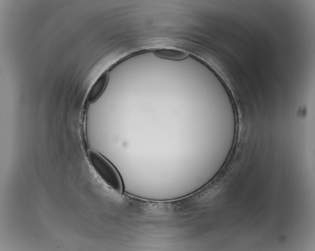 X0000114620901200911171055