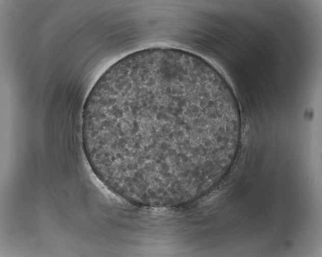 X0000114620903200911171055