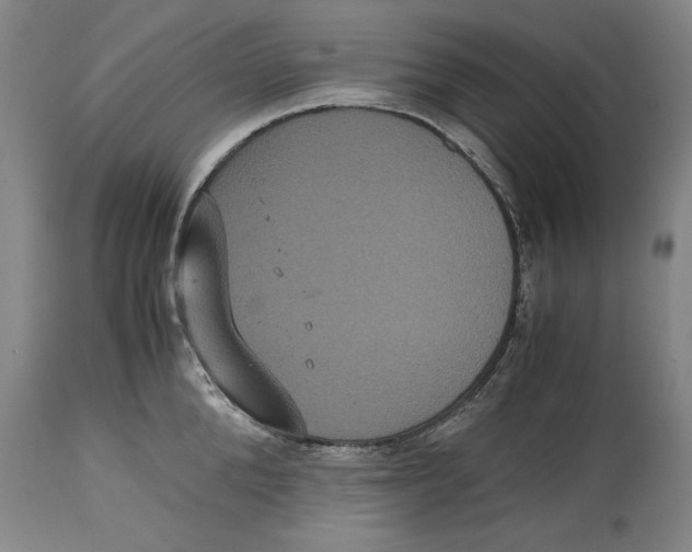 X0000114620904200911171055