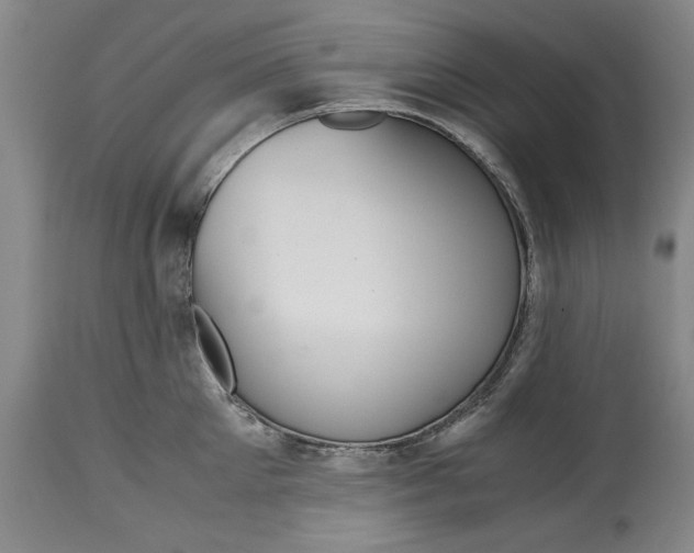 X0000114620905200911171055