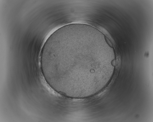 X0000114620908200911171055