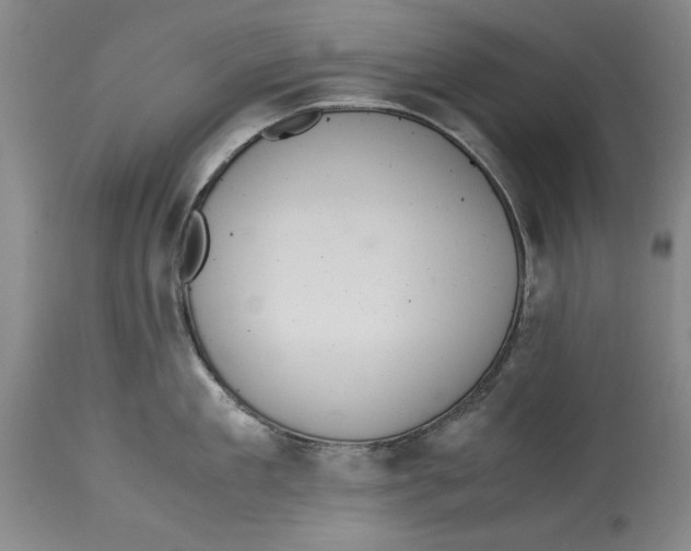 X0000114620909200911171055