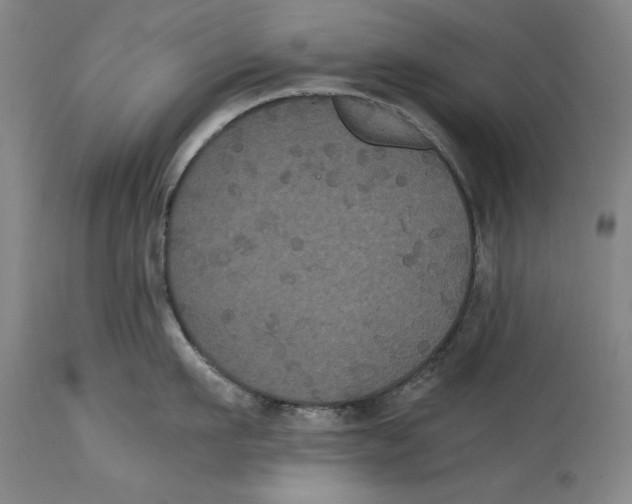 X0000114620911200911171055