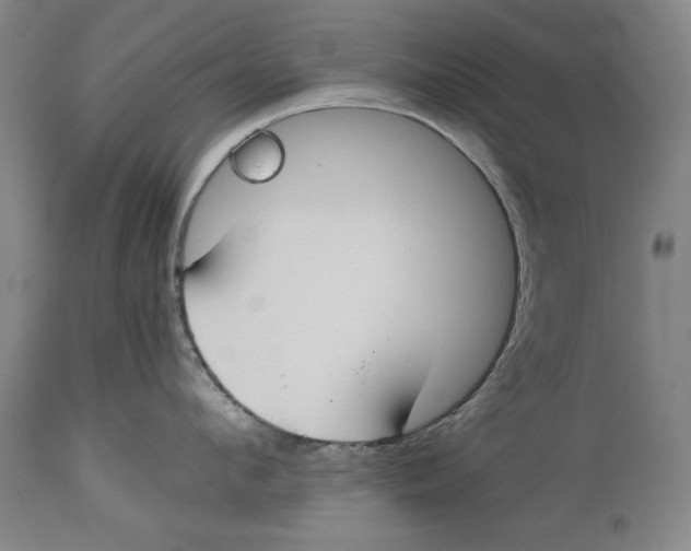 X0000114620912200911171055