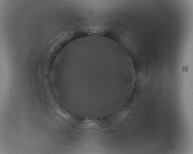 X0000114620913200911171054