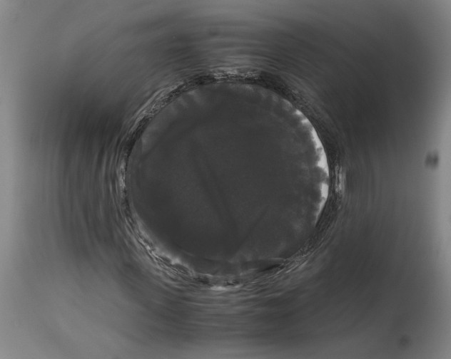 X0000114620915200911171054