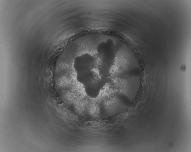 X0000114620917200911171054