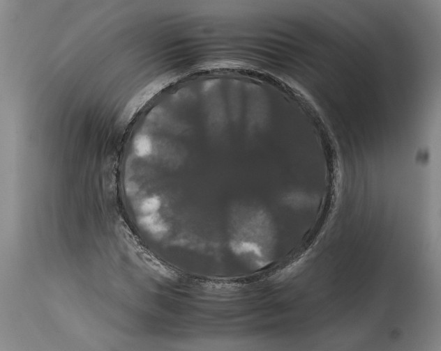 X0000114620921200911171054