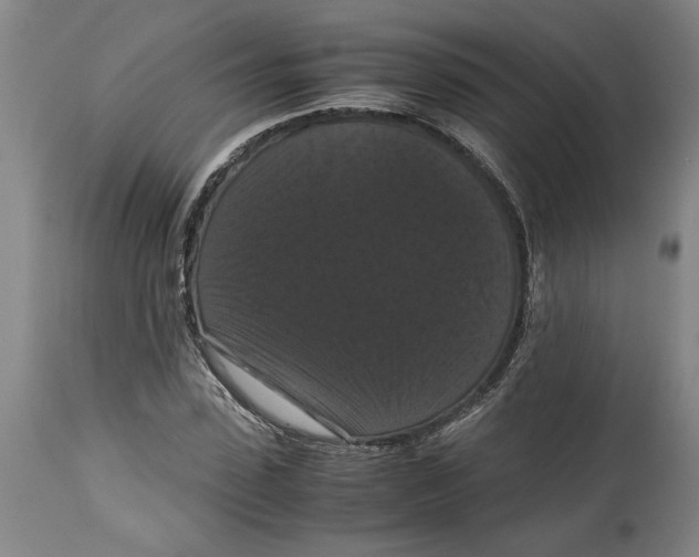 X0000114620923200911171054