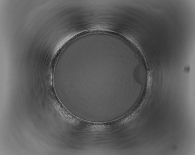 X0000114620925200911171054