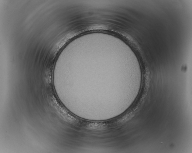 X0000114620929200911171054