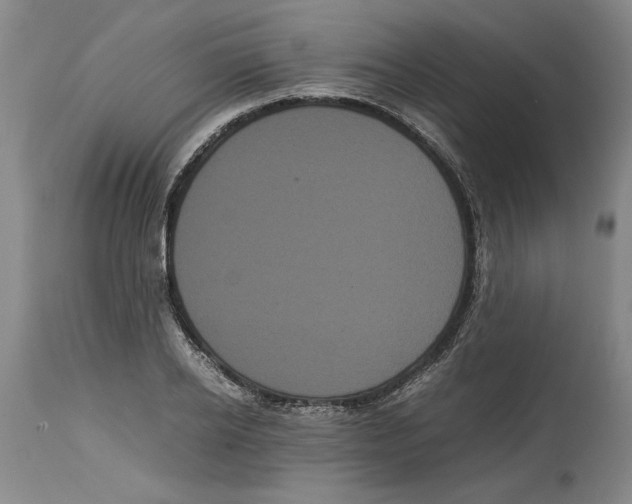 X0000114620934200911171054