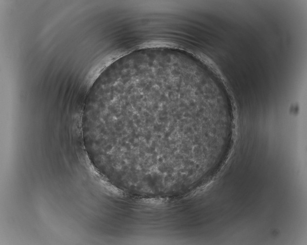 X0000114620937200911171054