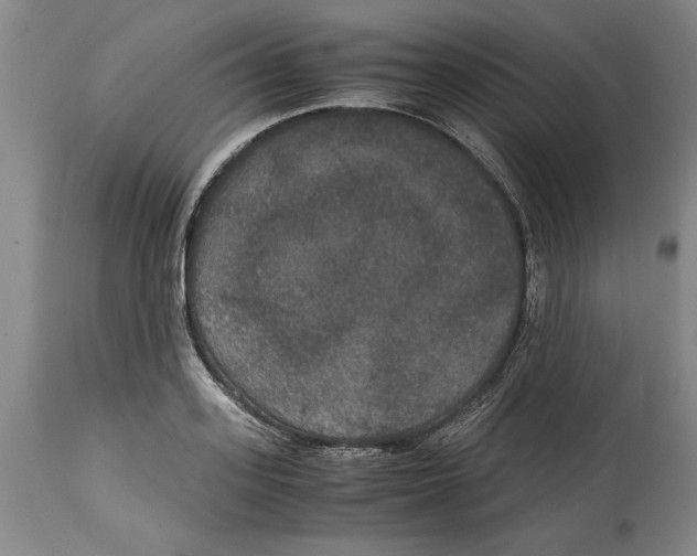 X0000114620939200911171054