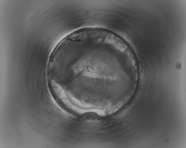 X0000114620943200911171054