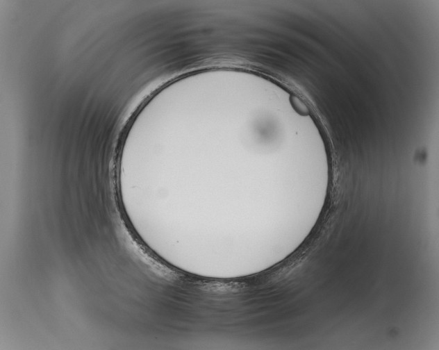 X0000114620947200911171054